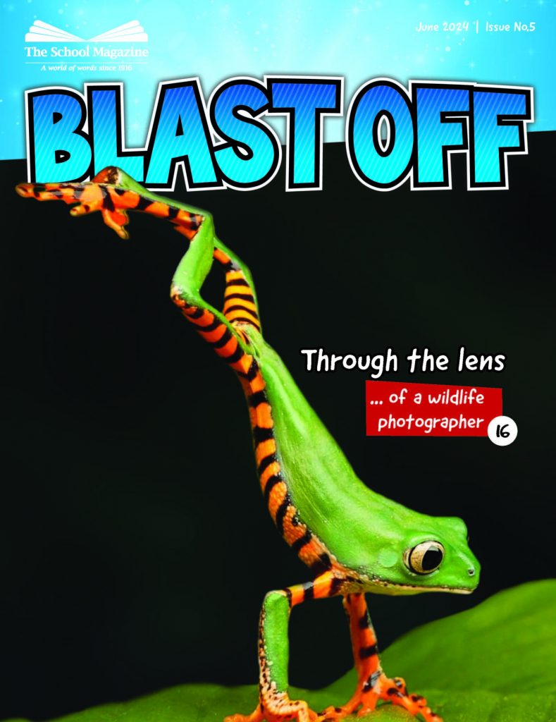 Blast Off, June 2024 - a green frog